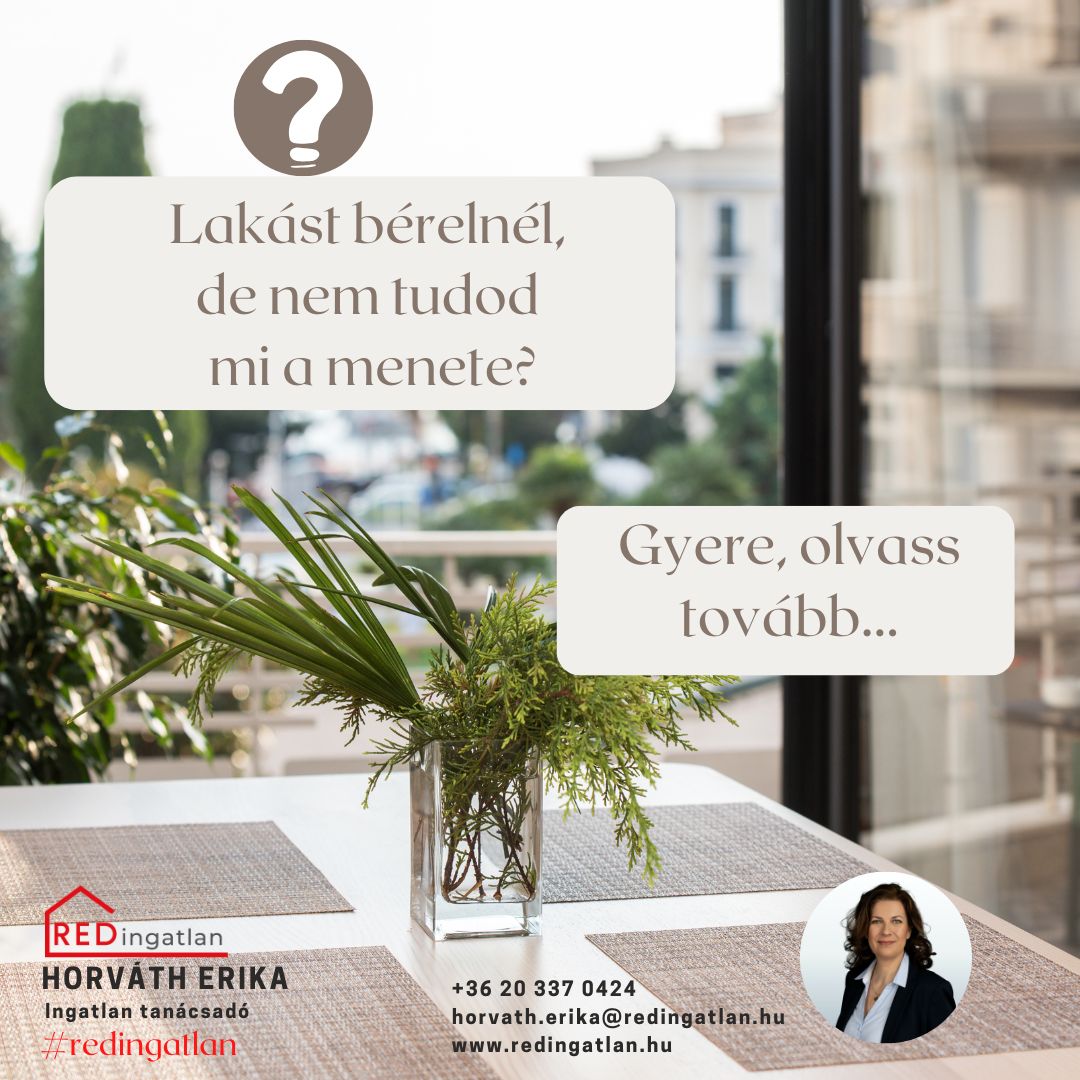 Albérlet keresőknek segítség nyújtás